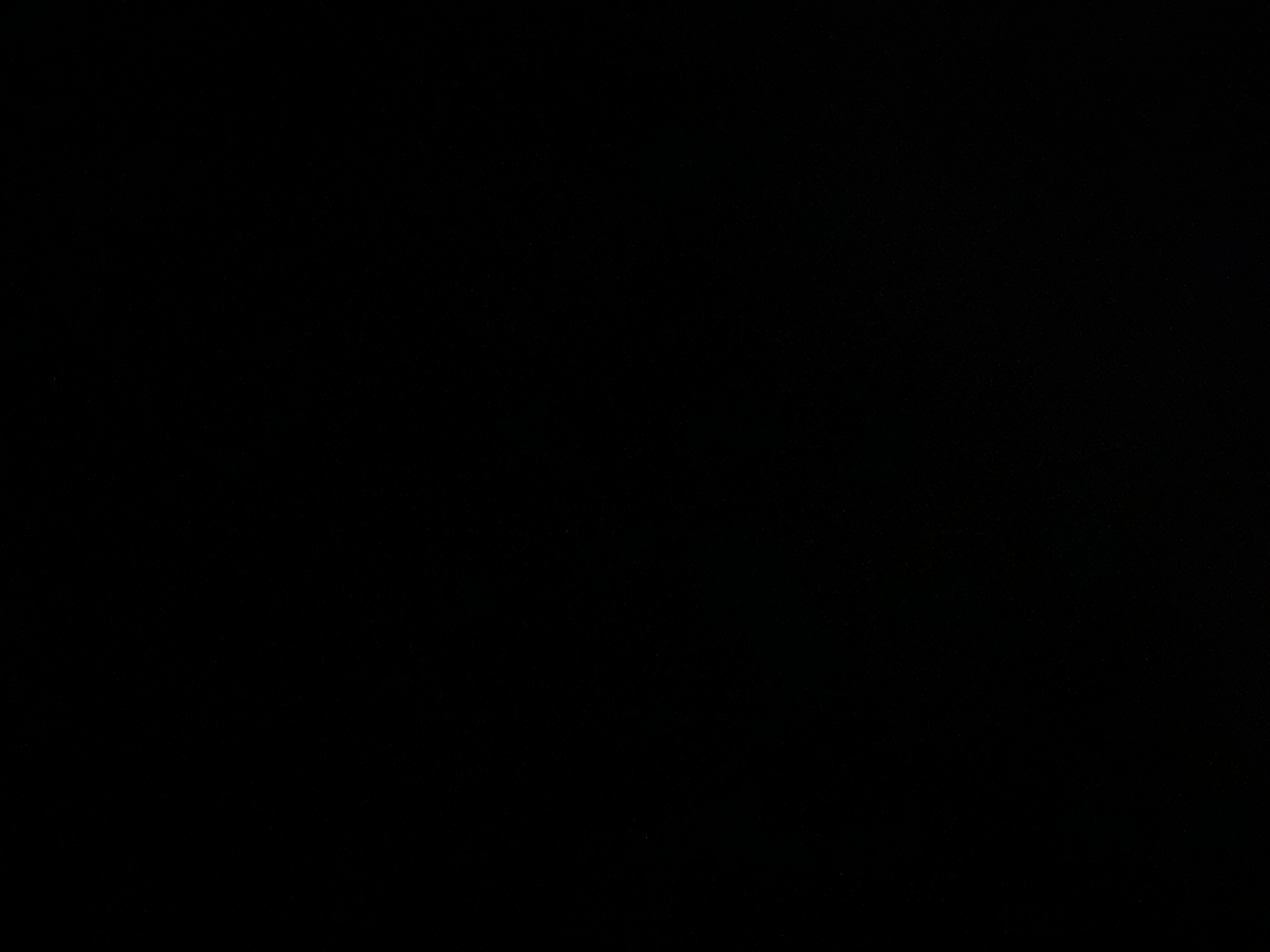 اريج محمد
