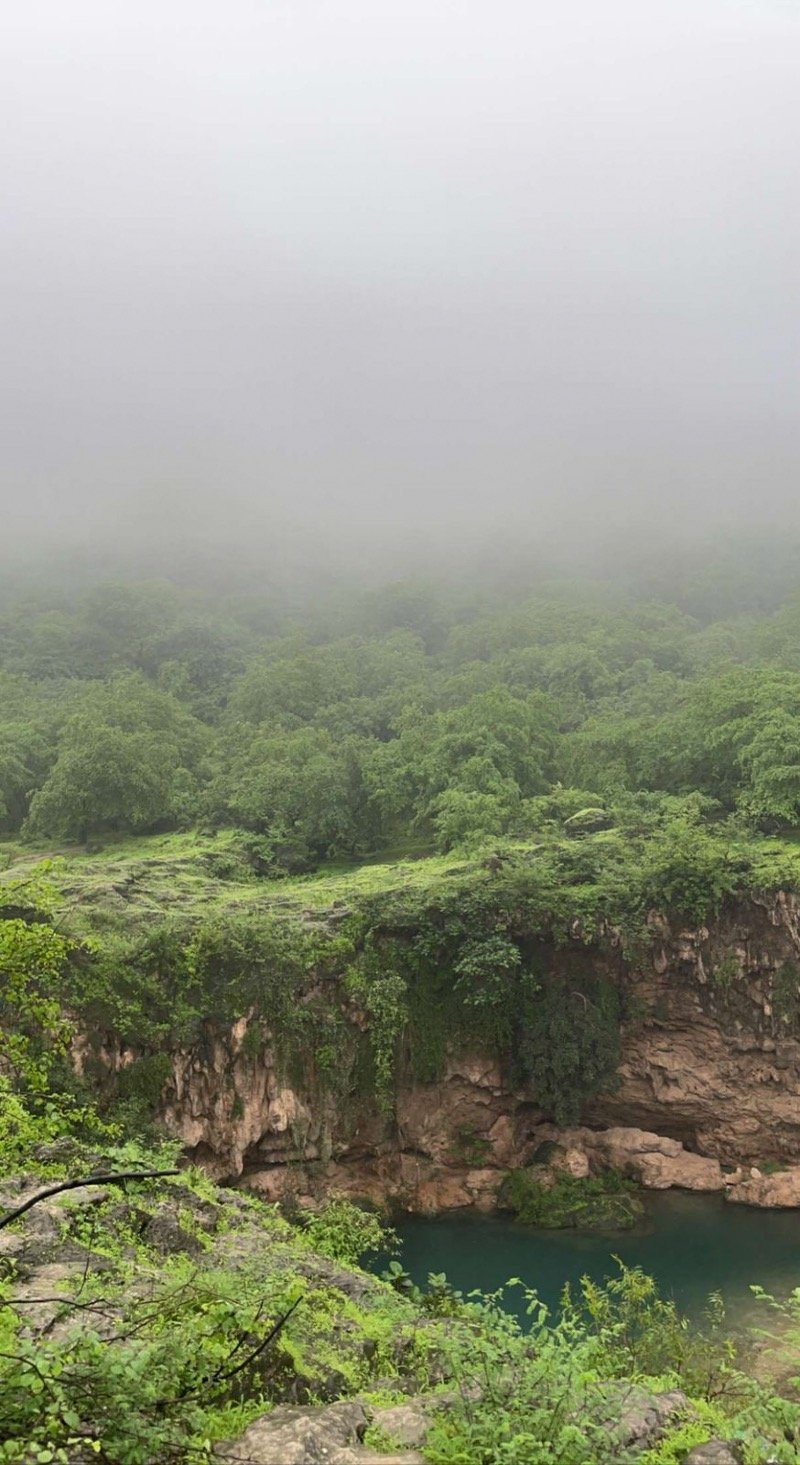 فيصل الشثري