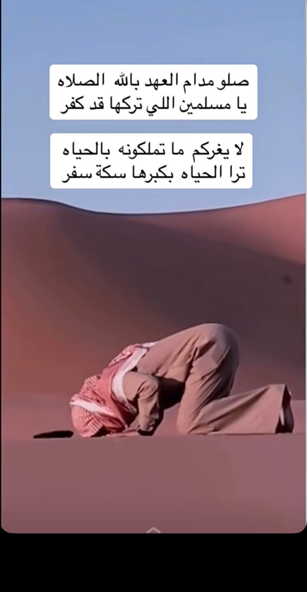 يوسف الحربي