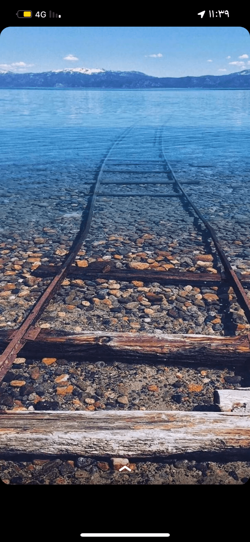 فاطمه القرني