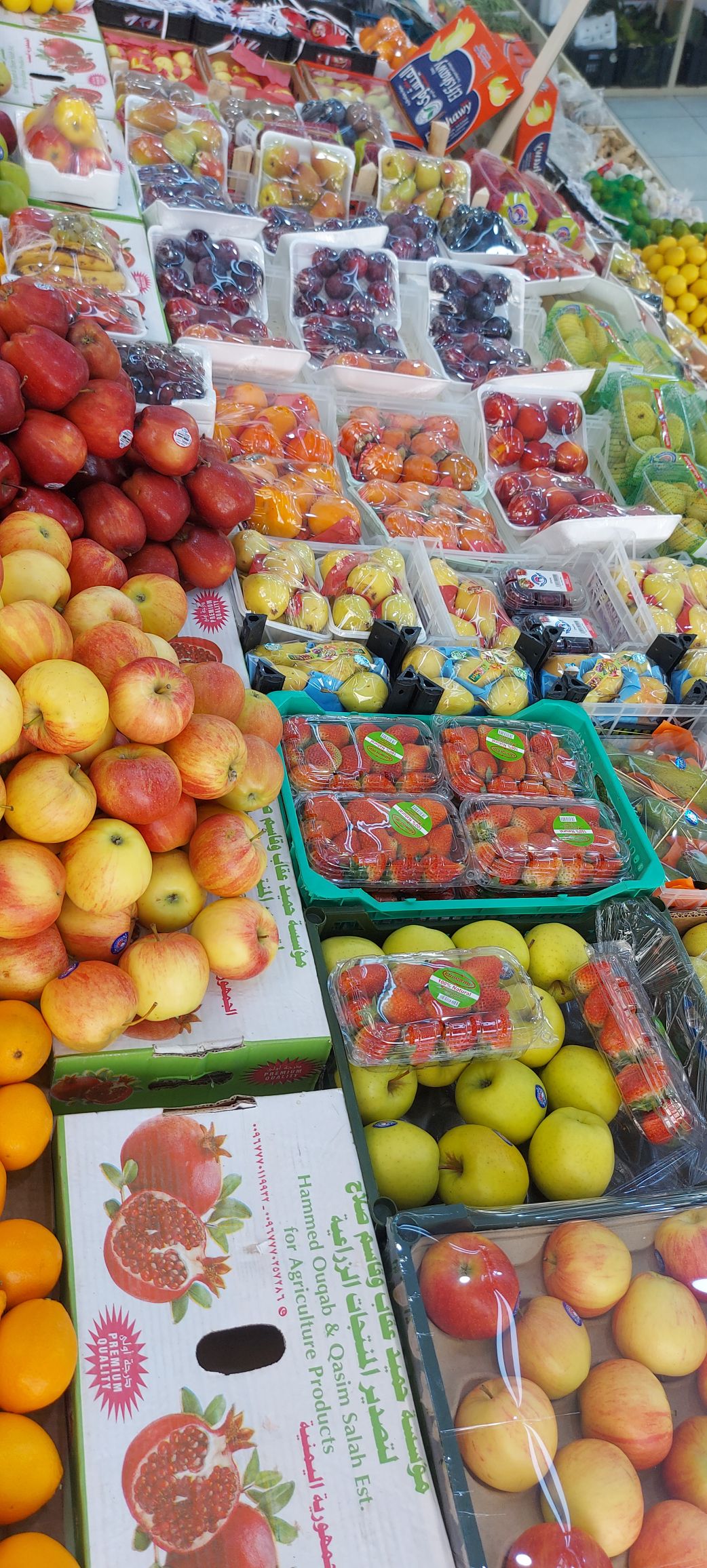 محمد الحضرمي