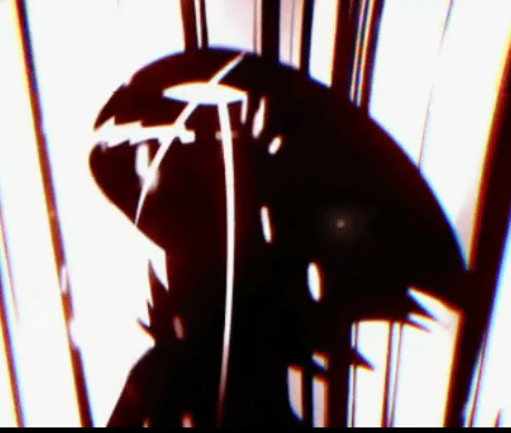 يوسف الصقور