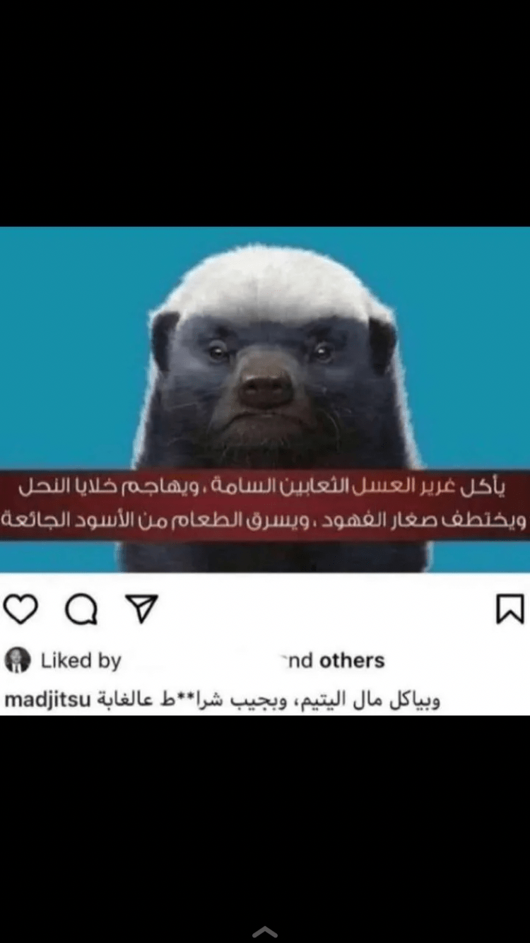 مازن السلمي