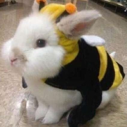 مشاري العتيبي