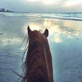 وعد الرفاعي