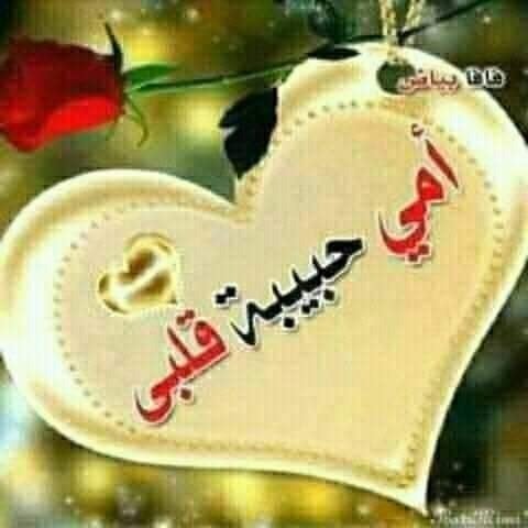 احمد السليماني