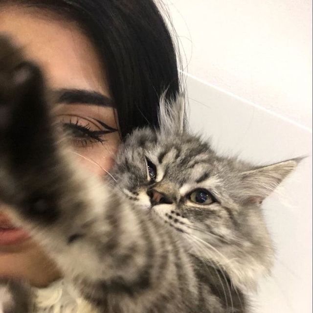 فاطمه الربعي