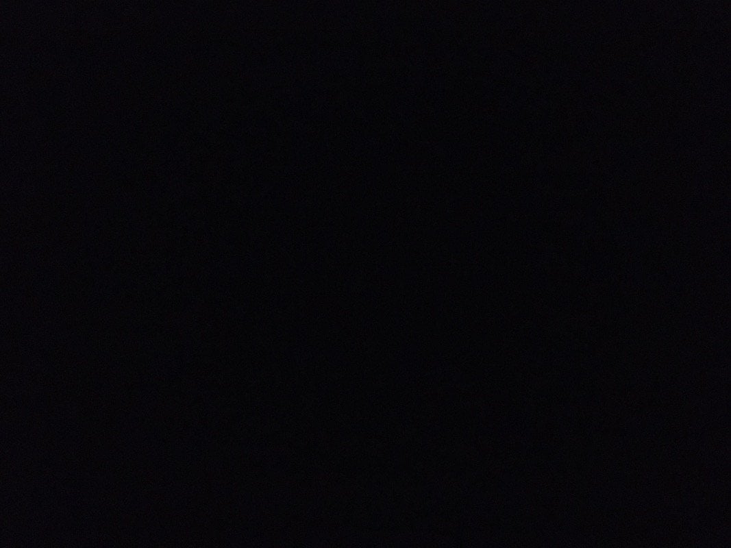 صالح الصالح