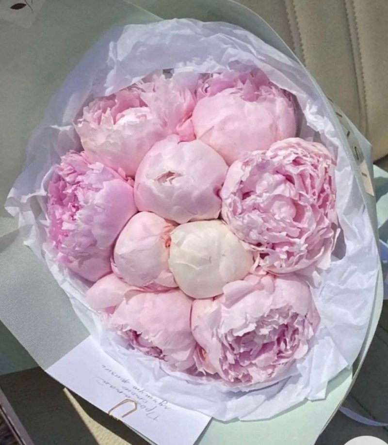 فاطمه عسيري