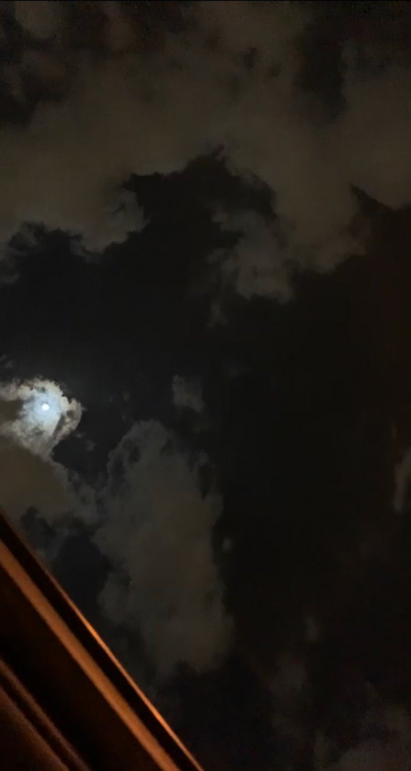 هاجر الحارثي