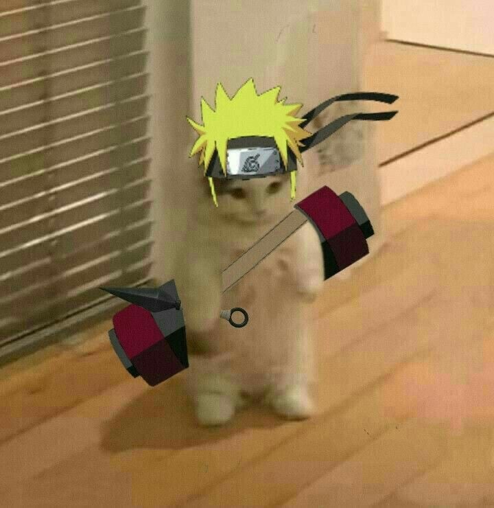 الساموراي الجهني