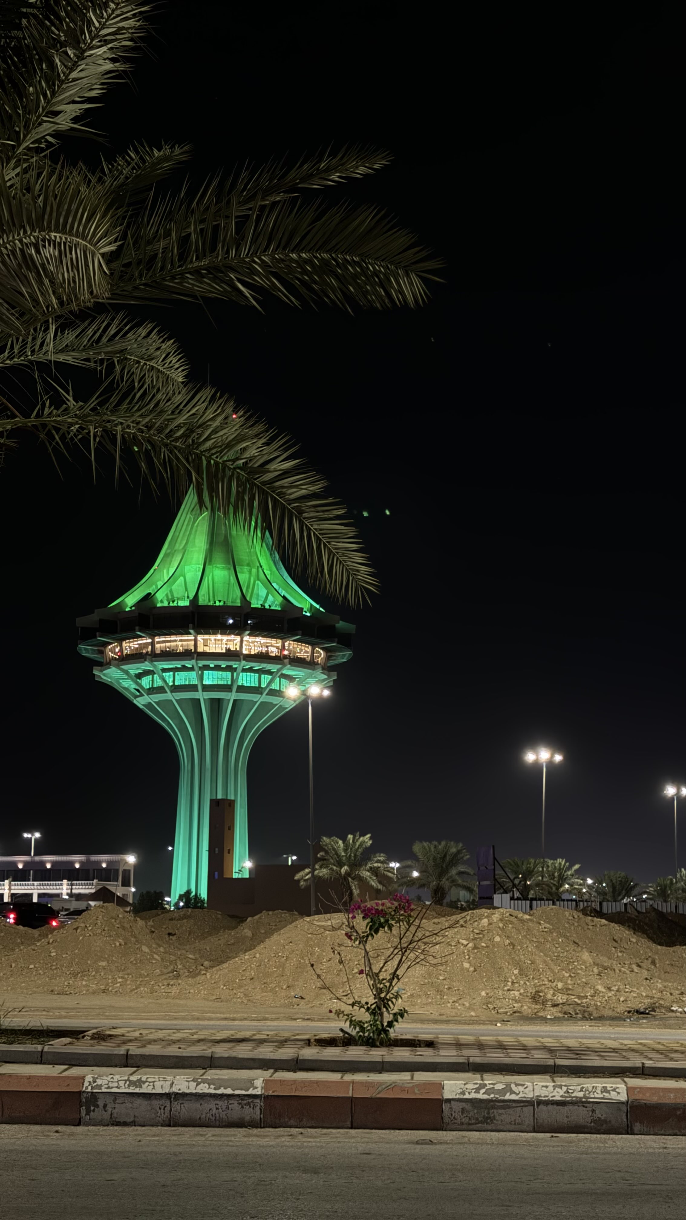 محمد العنزي