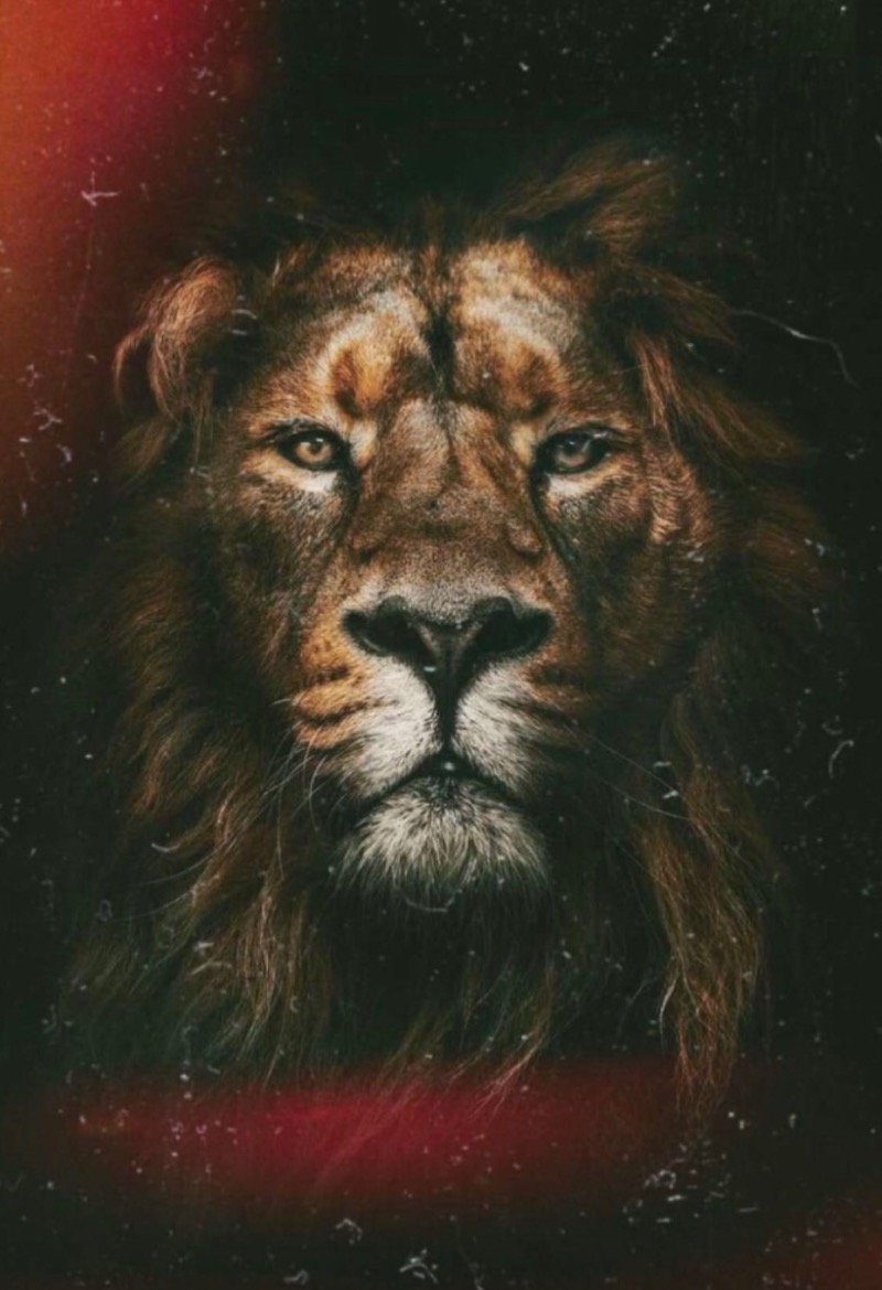 جاسم الحاتم