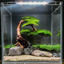 Muhammad Danial Nadeem Butt