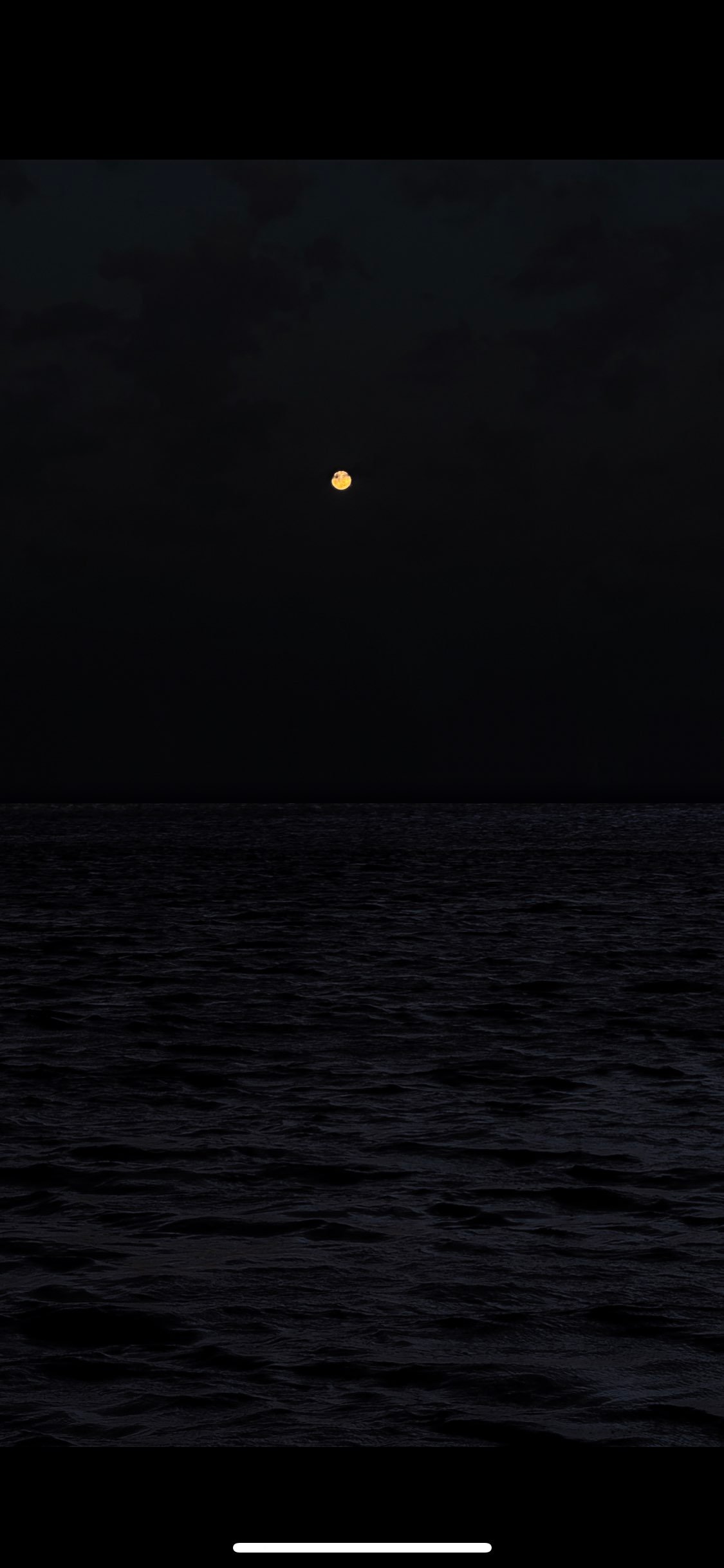 البراء محمود