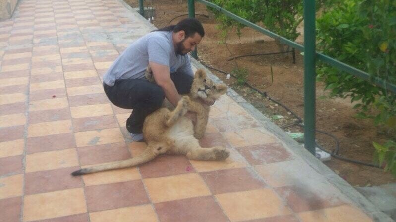 يحيى العسيري
