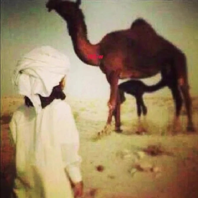 مبارك الدوسري