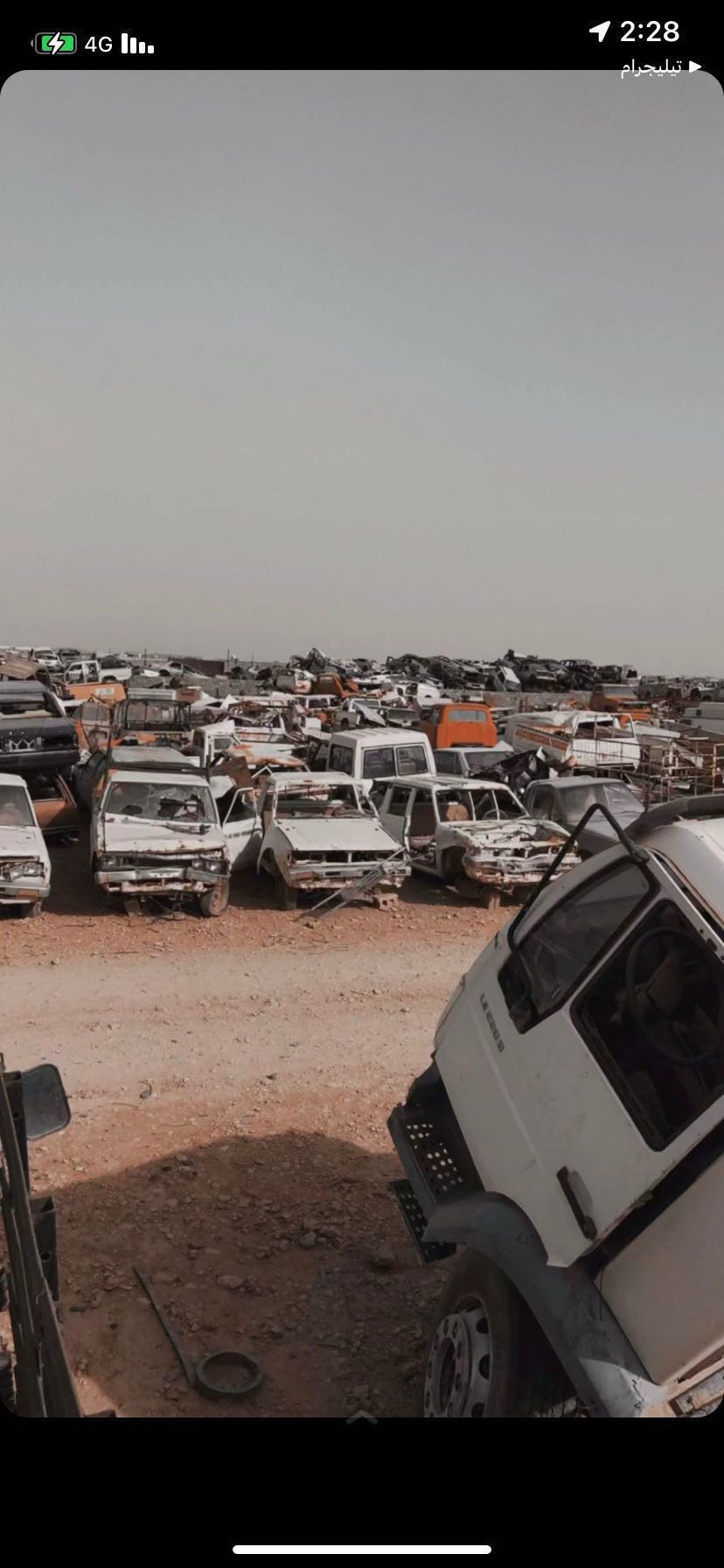 شادي المالكي