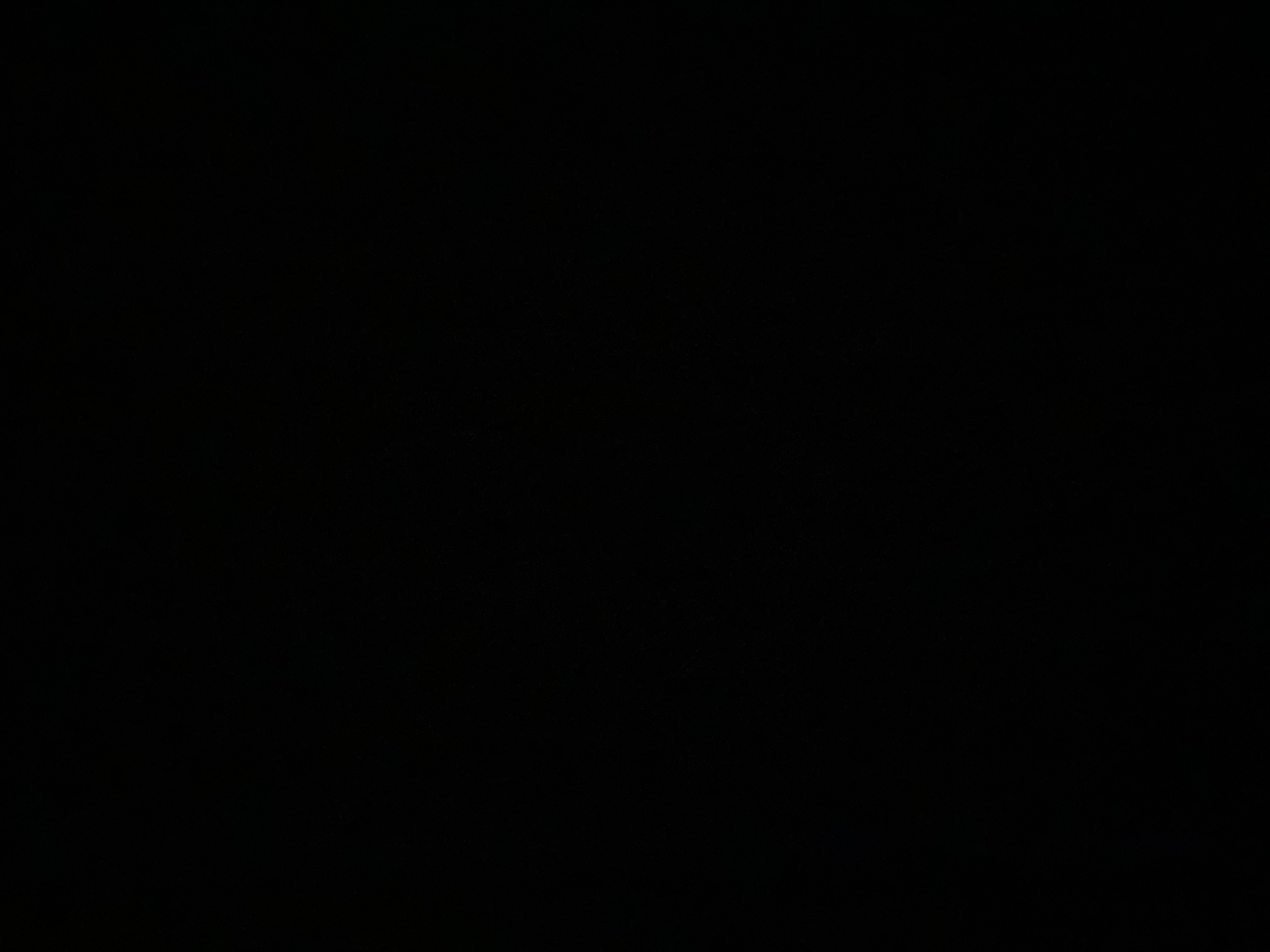 دانا الحقباني