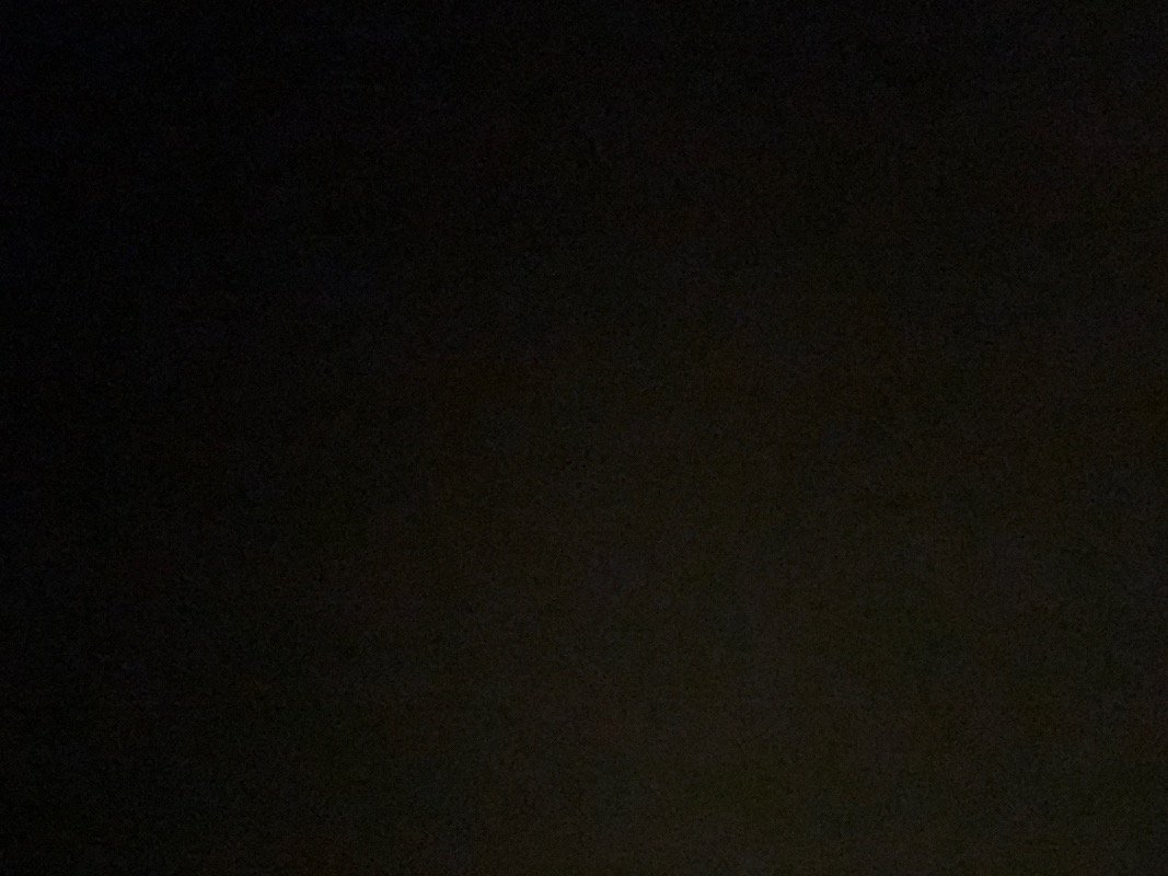 ريما العيسى