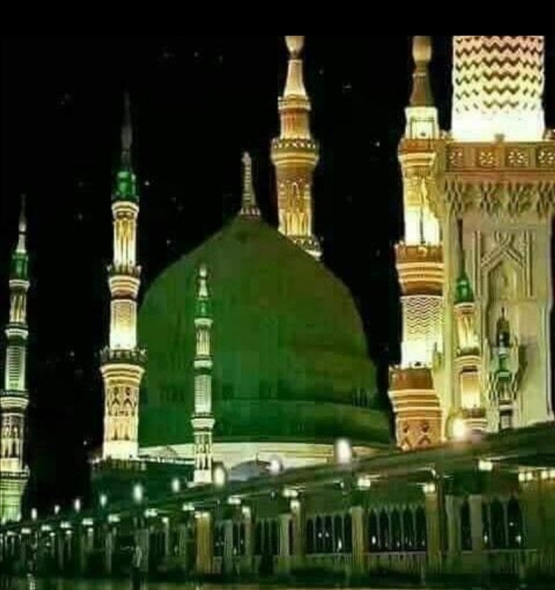 السيد نذير حيدر