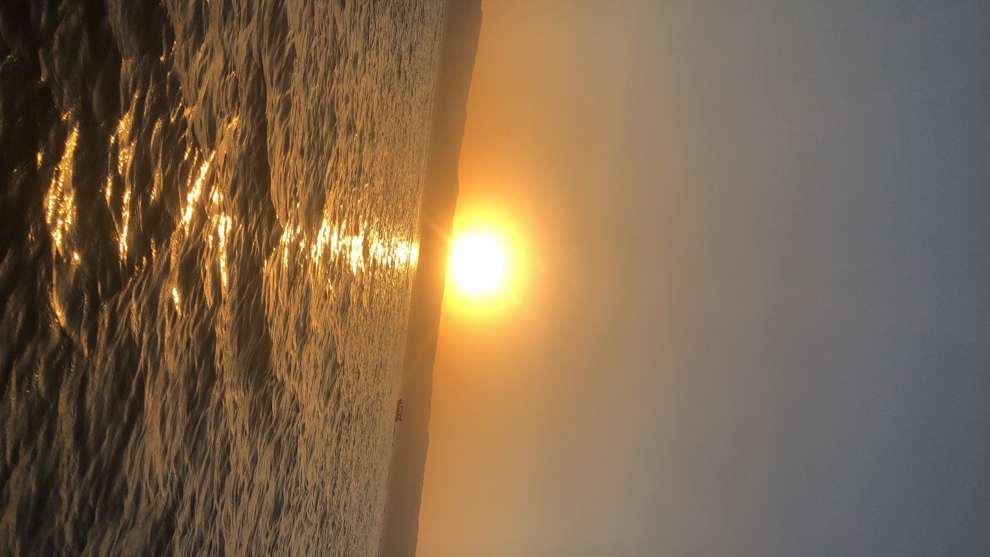 متعب العنزي