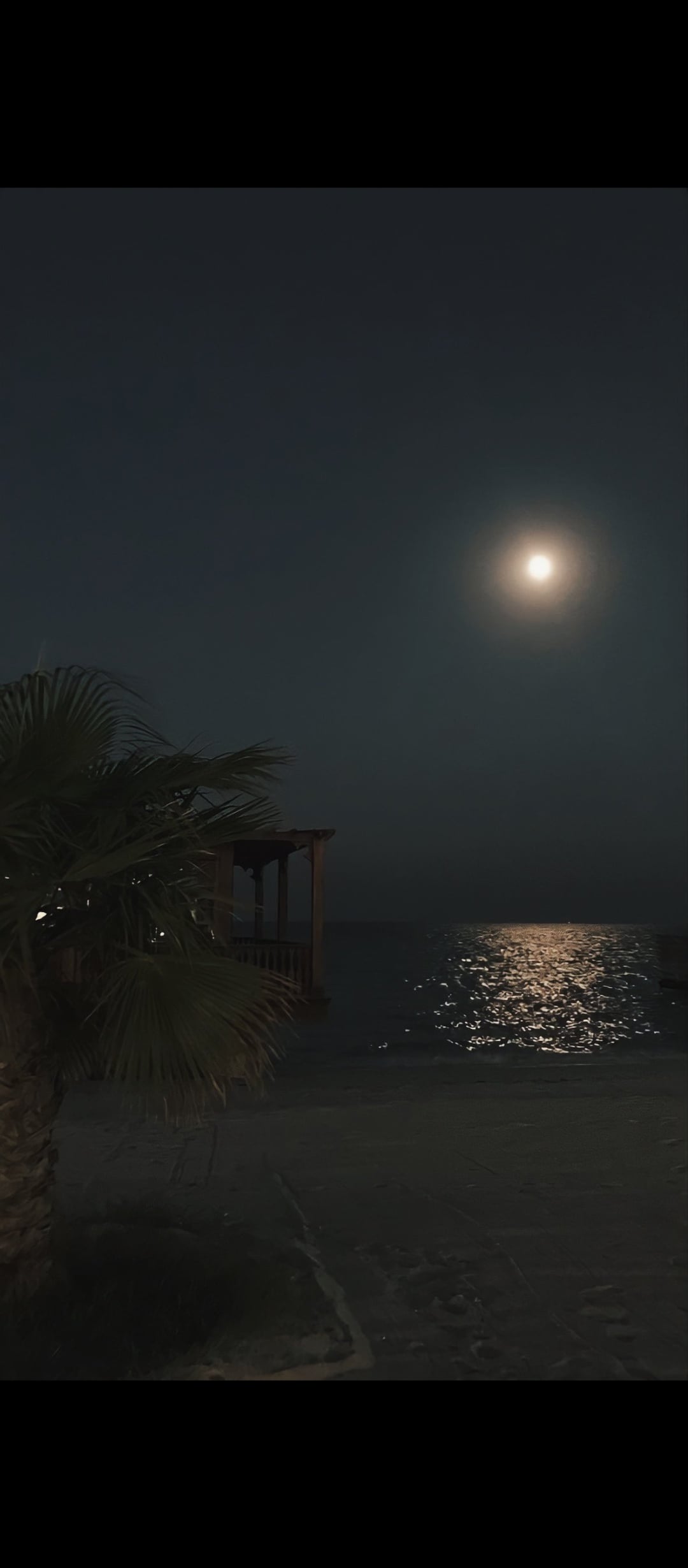 عبدالعزيز الشهري