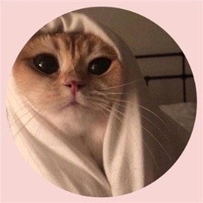 عبدالرحمن الشعبي