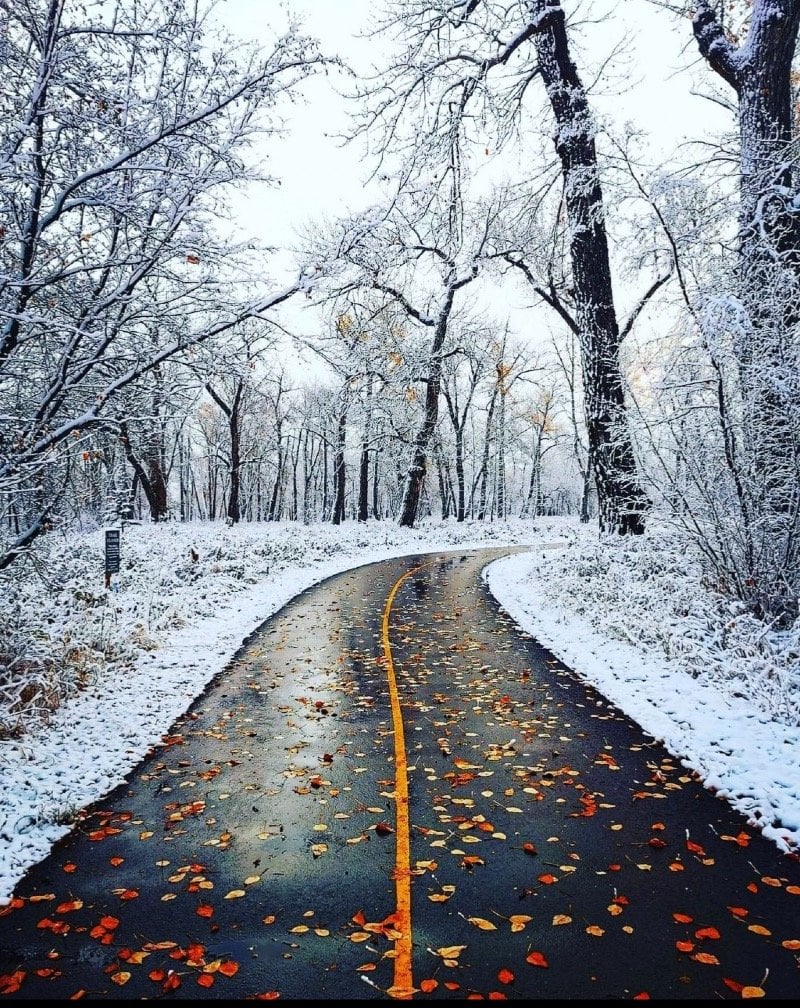 ام سارا الحربي