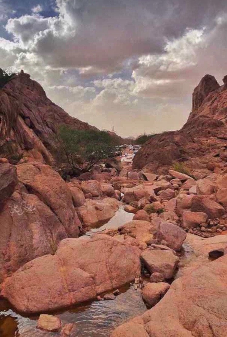 علي الشعشاع