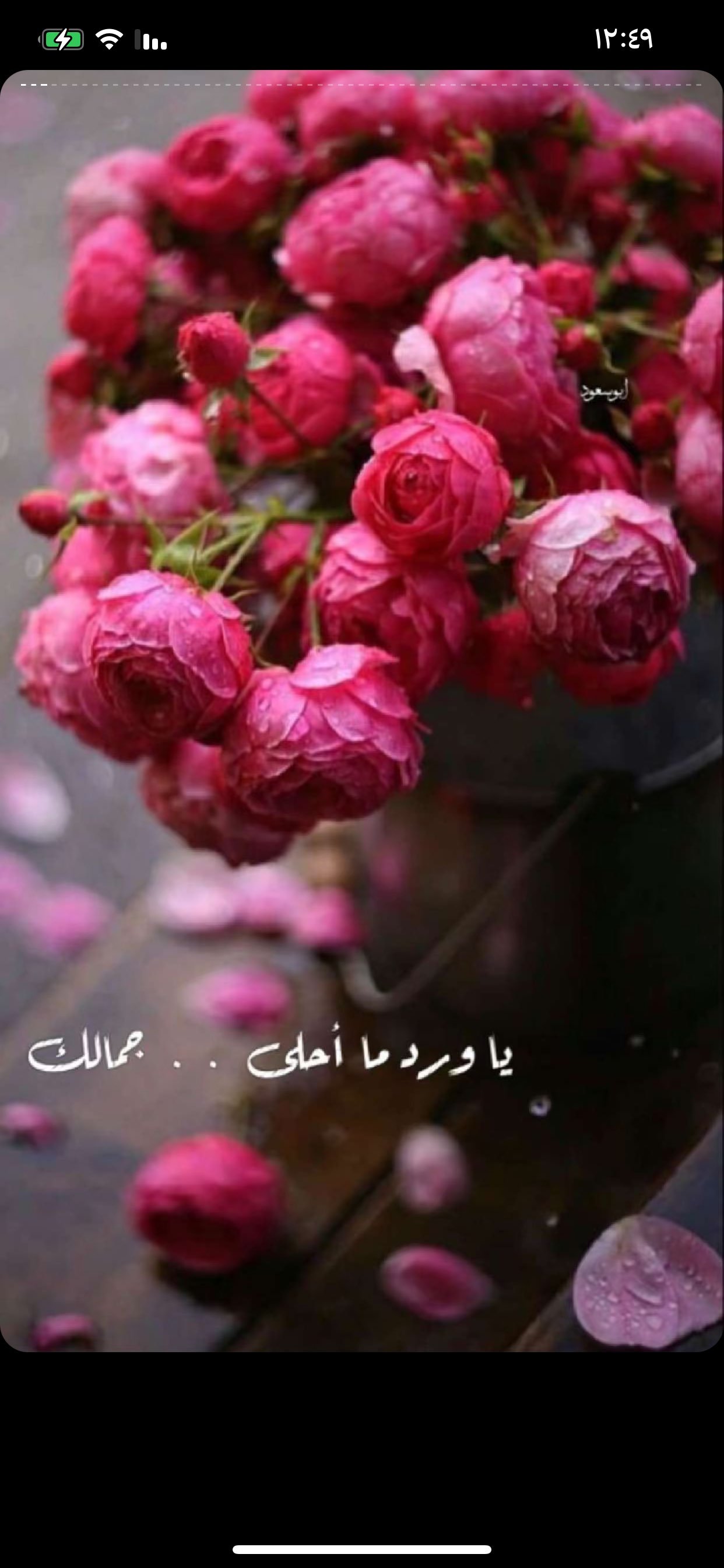 غزل الدوسري