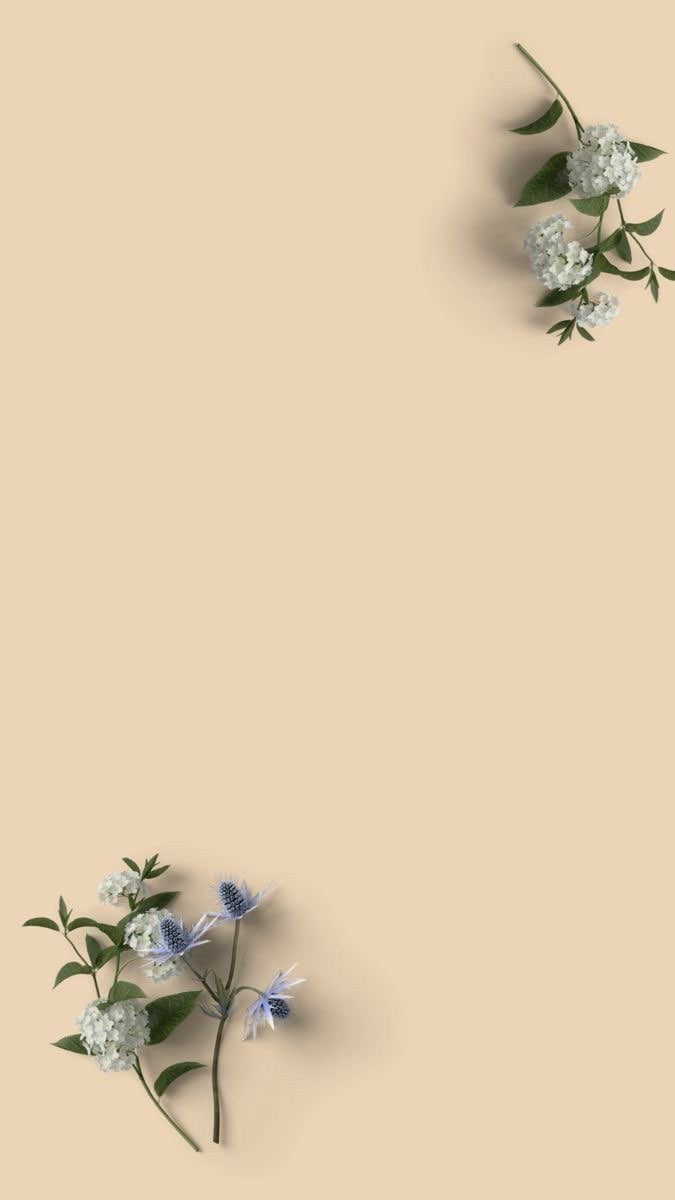 امل الصهيفي