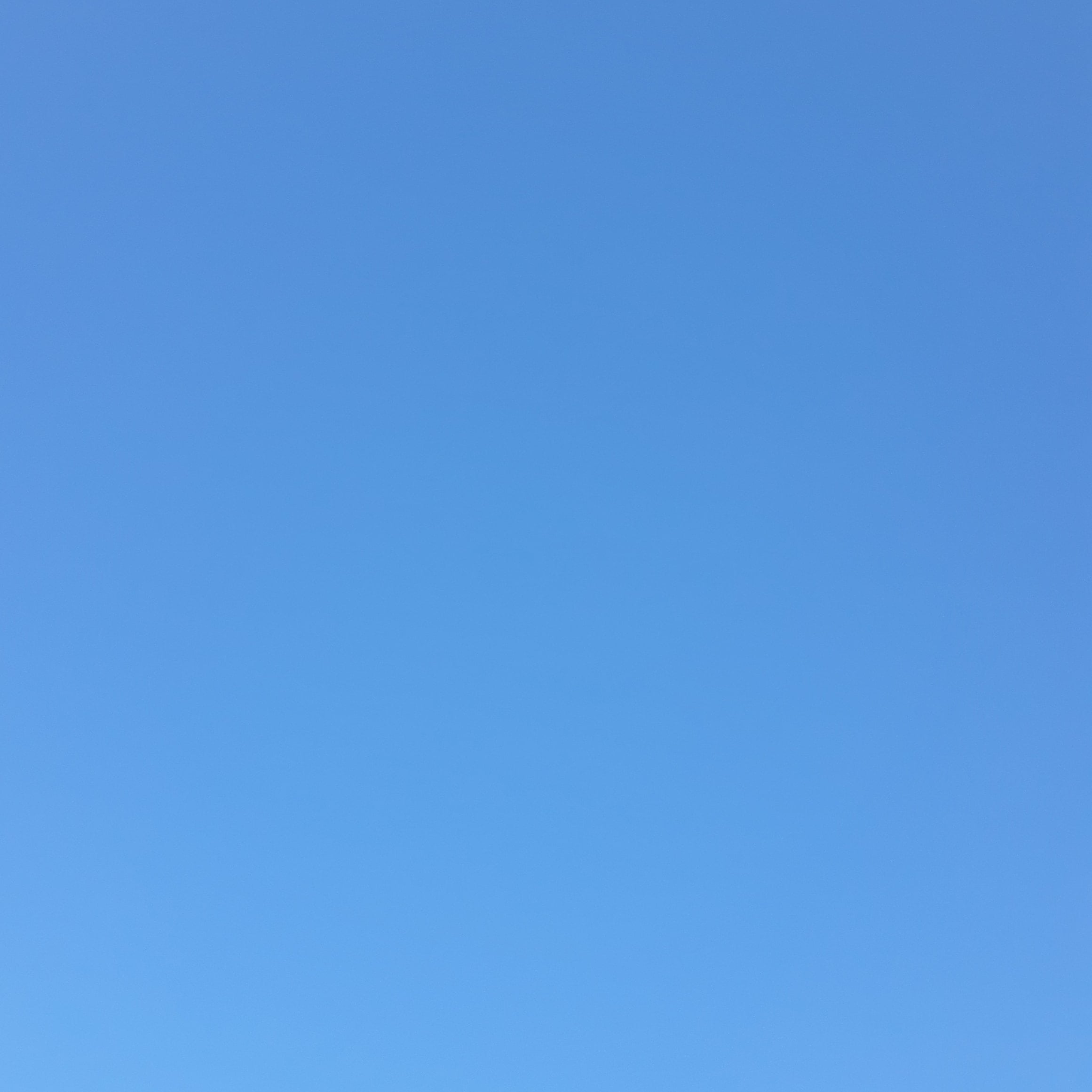 ابو صالح شيبة