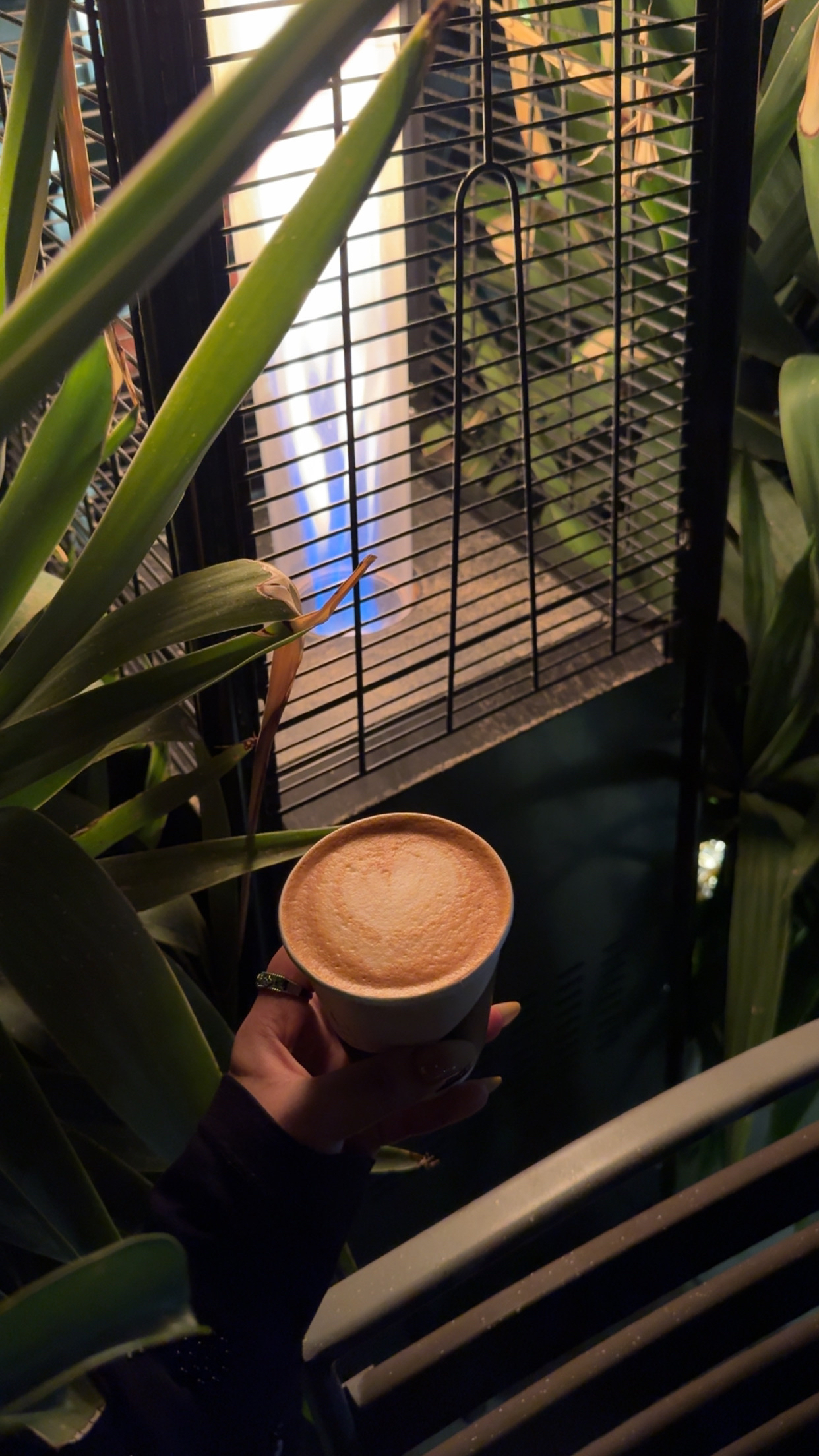 خلود خبراني