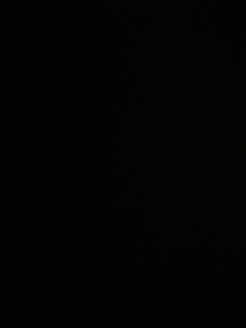 محمد المطيري