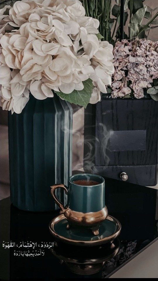 عبيرالعويس العويس