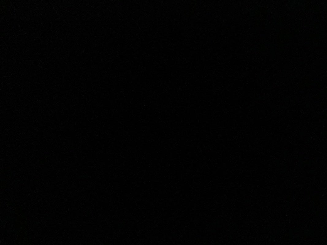 اباء مطهر الوادعي