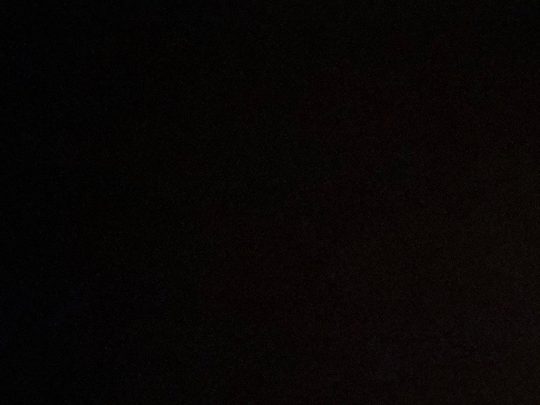 فهد بن بخيت