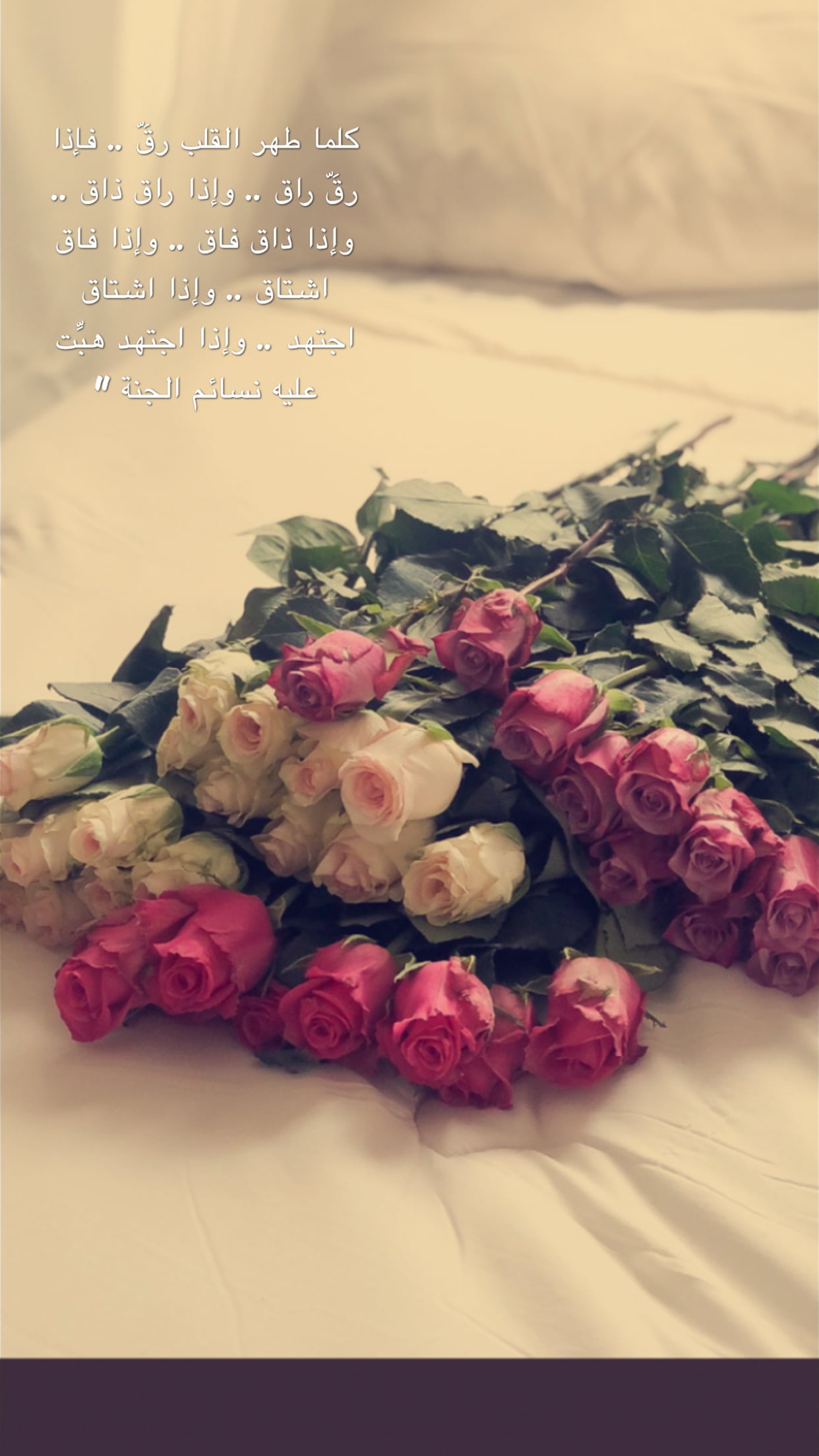 امل قاسم رجب