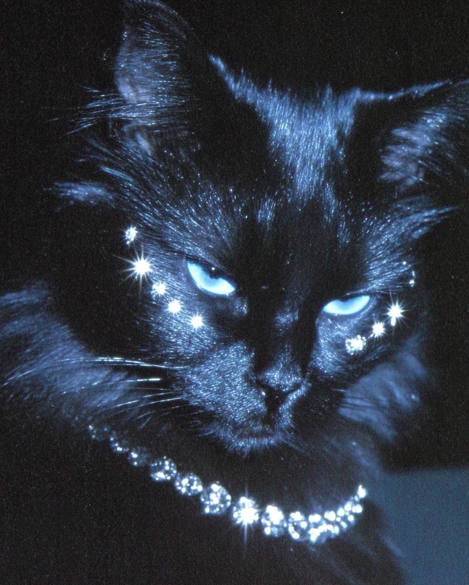 افنان العسيري