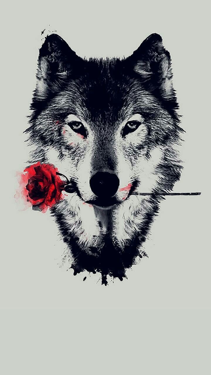 Ahmadove Wolf