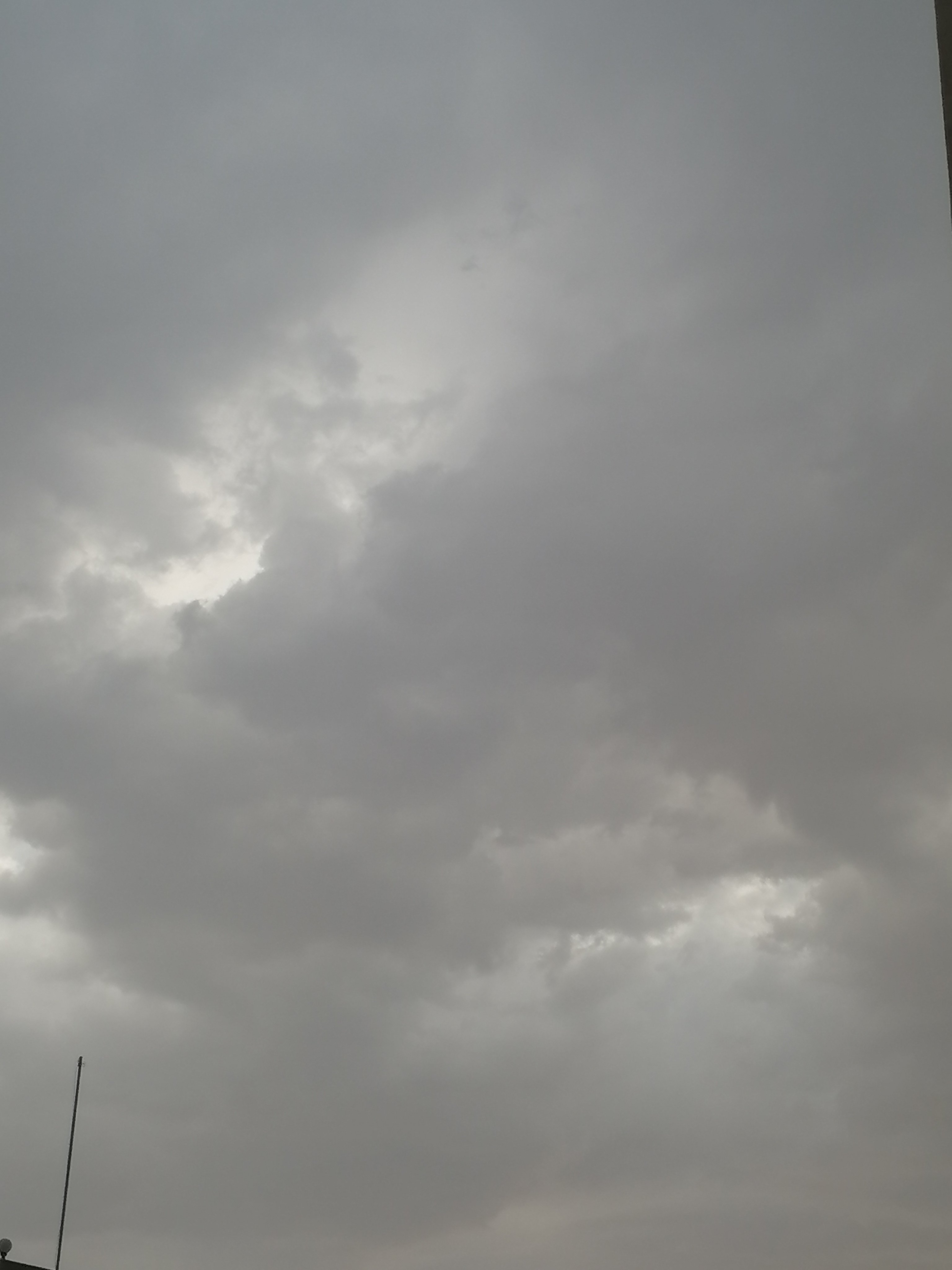 محمد الشايقي