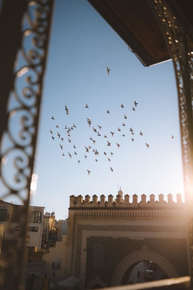هنوف العوفي
