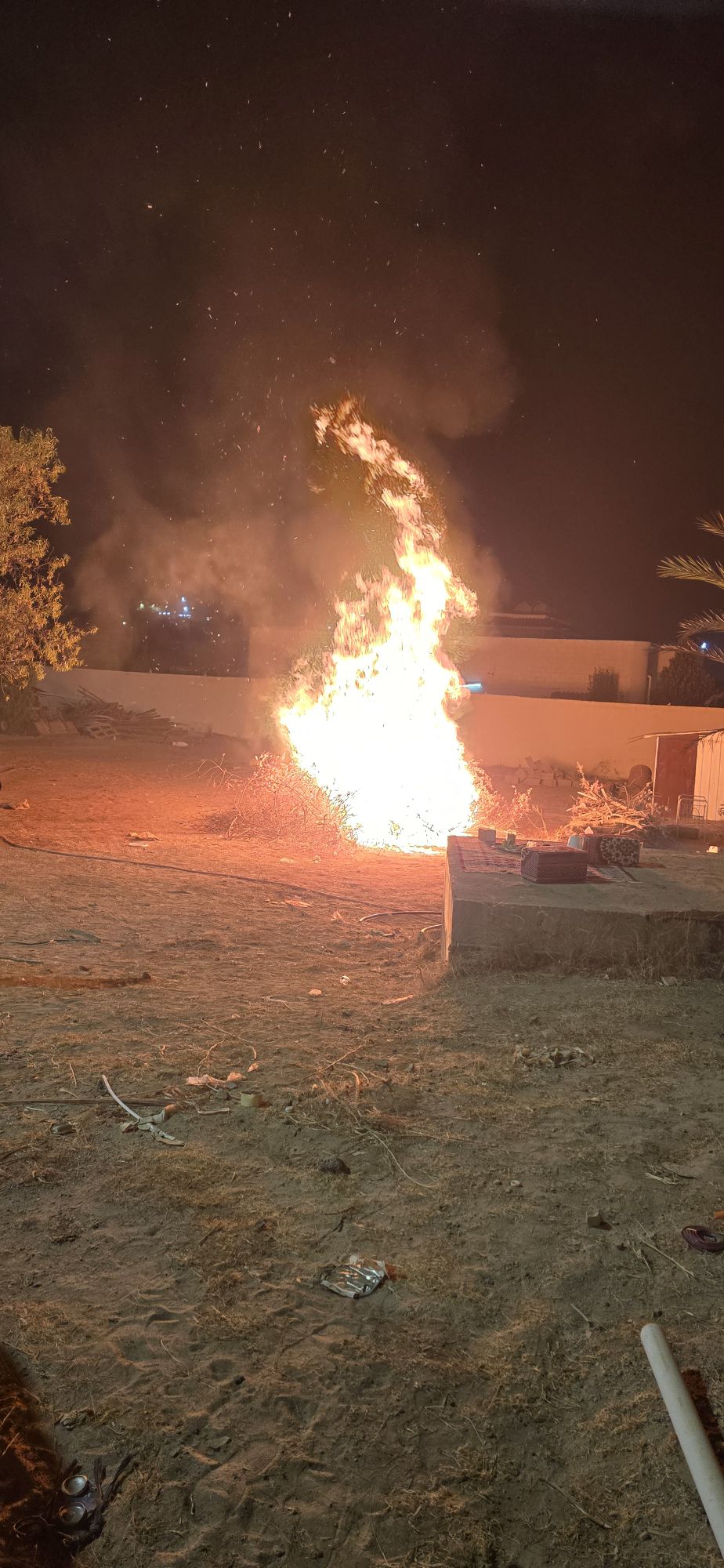 تميم الغامدي