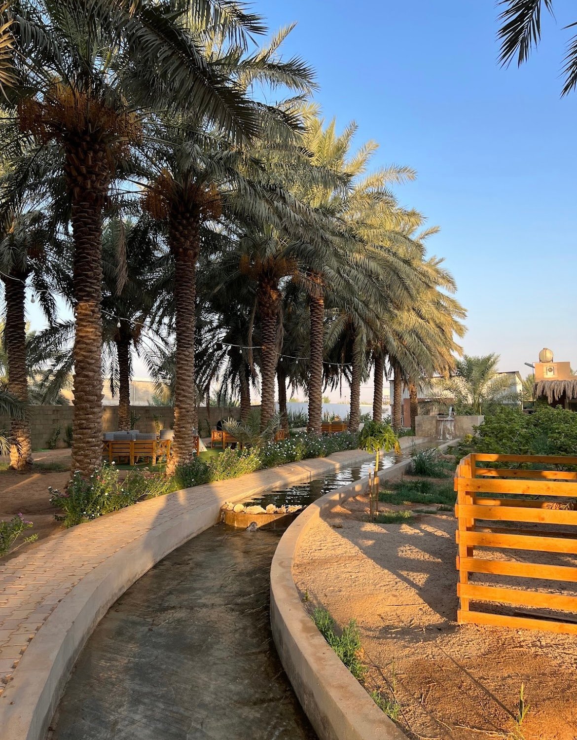 حصه علي