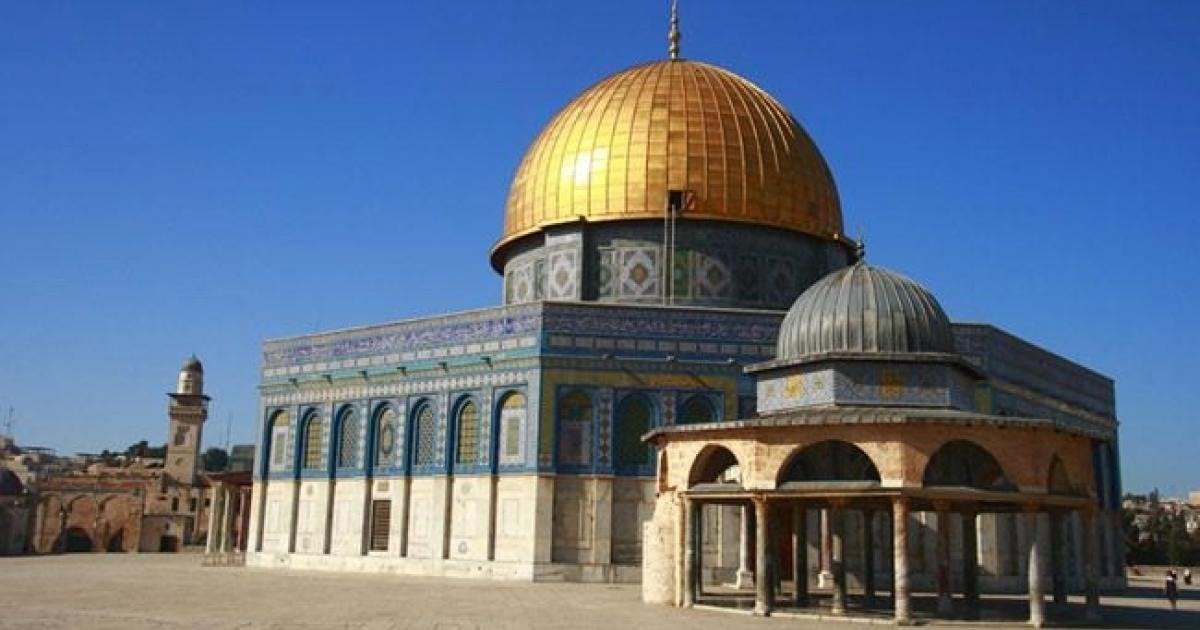 محمود حسين