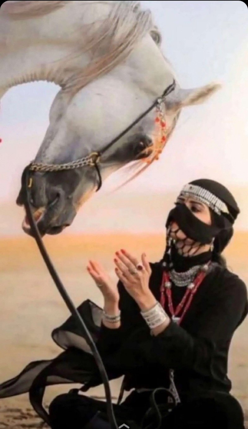 محمد سلطان