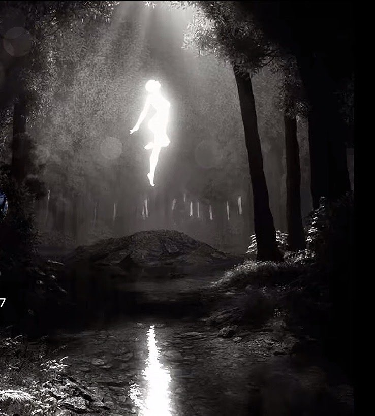 تهاني التميمي