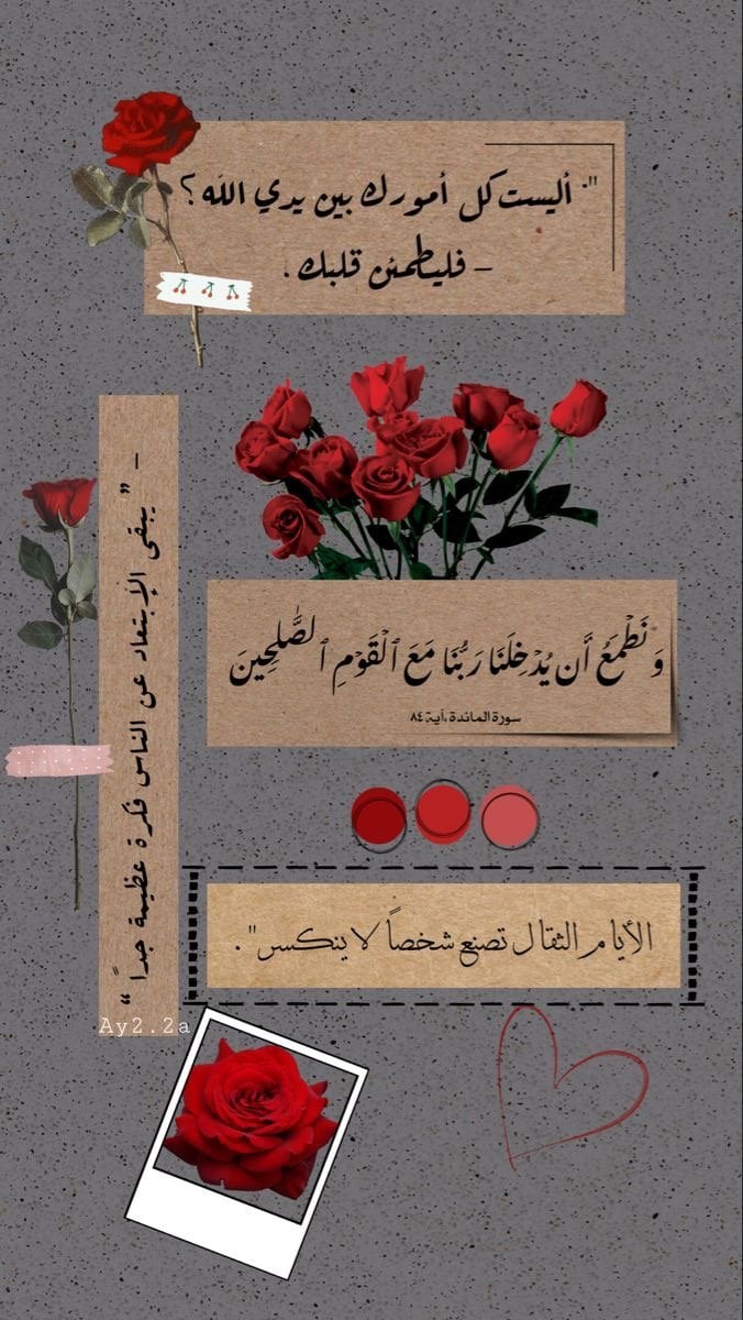 عبير العتيبي