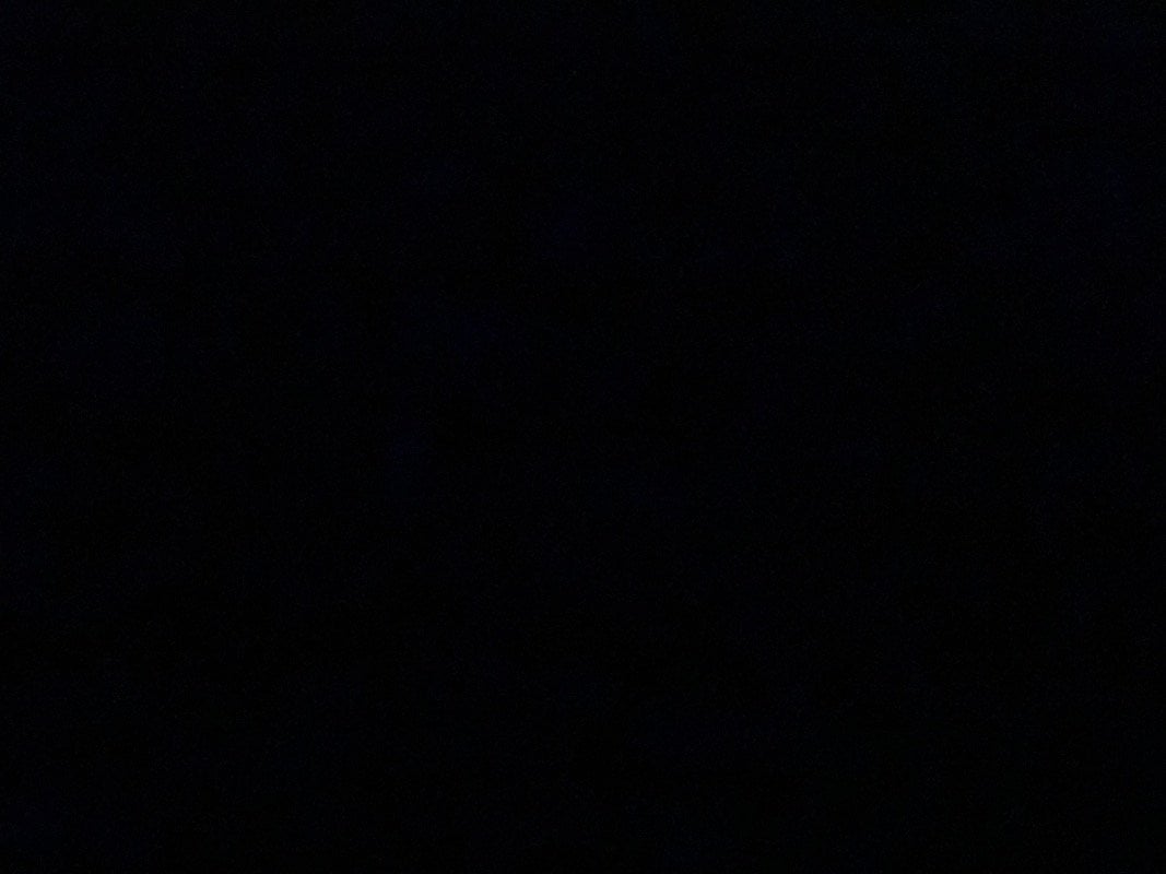 زهراء ال ناصر